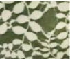Med Oval | Aspen Pine