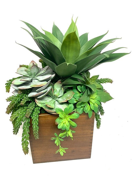 Agave & Succulents in Large Wood Planter