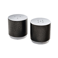 Northstar Salt & Pepper Set