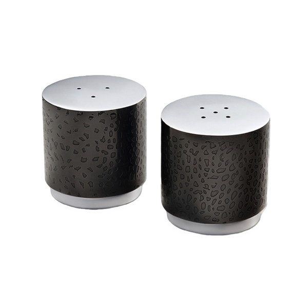 Northstar Salt & Pepper Set