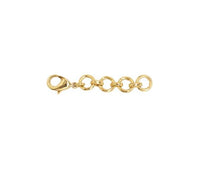 1" Chain Extender