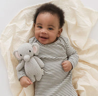 Baby Elephant