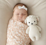 Baby Lamb