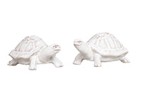 Clever Creatures Turtle Salt & Pepper Set