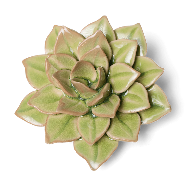 English Garden Ceramic Flower Green Medium Succulent