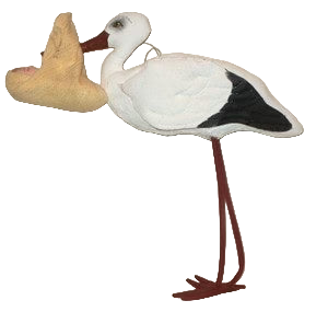 Stork with Baby