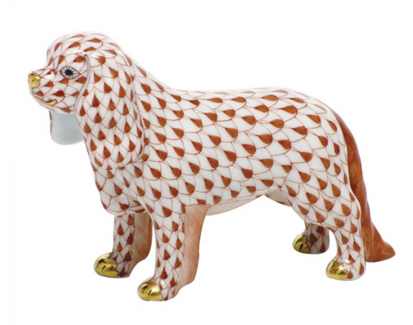 Cavalier King Charles Spaniel | Rust