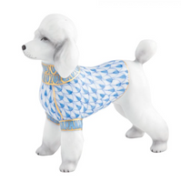 Toy Poodle | Blue