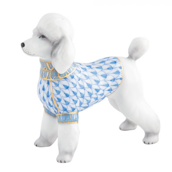 Toy Poodle Blue Peachtree Place