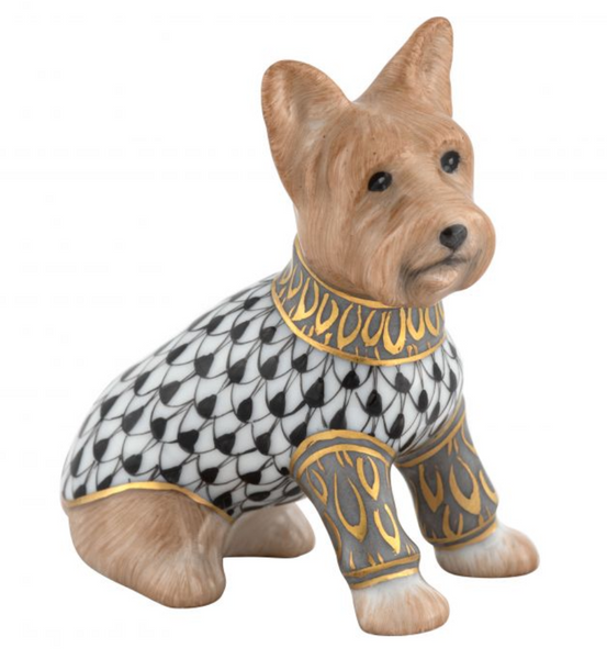 Yorkshire Terrier | Black