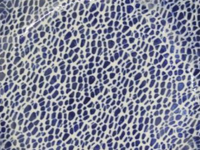 Large Party Platter | Pebble Cobalt