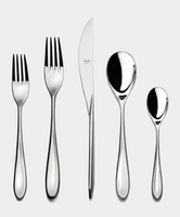 Forma Stainless 5PC Placesetting