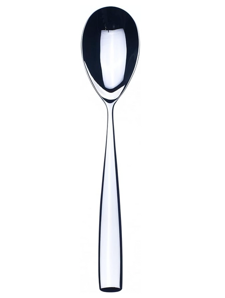 Forma Stainless Serving Spoon