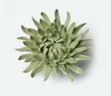Ceramic Flower | Green