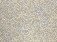 Large Fish Platter | Crackle Opal