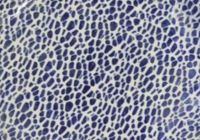 Med Oval Platter | Pebble Cobalt