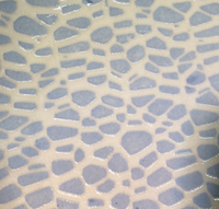 Large Party Platter | Pebble Opal