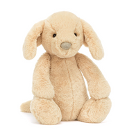 Bashful Luxe Puppy Orlando