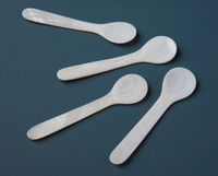 Seashell Spoon | Large