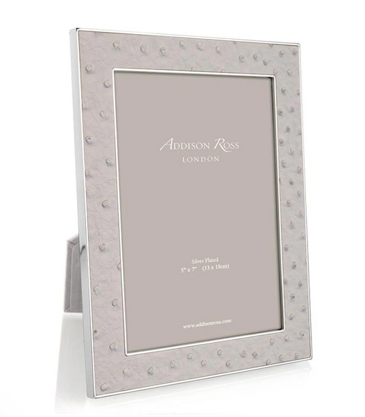 Ostrich 4 x 6 Silver Frame | Mist