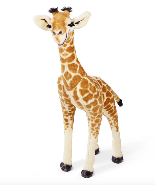 Standing Baby Giraffe