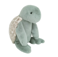 Taylor Turtle | Large