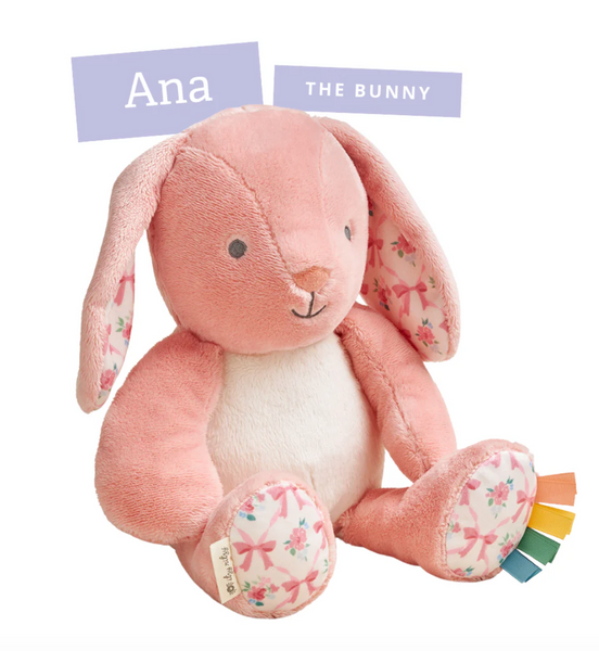 Sweetie Snuggles Anna the Bunny