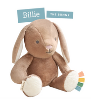 Sweetie Snuggles Billie the Bunny