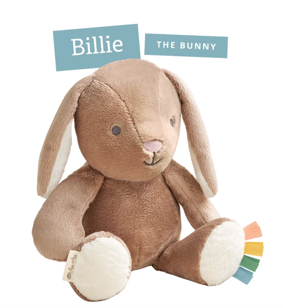 Sweetie Snuggles Billie the Bunny