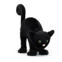 Spookipaws Cat