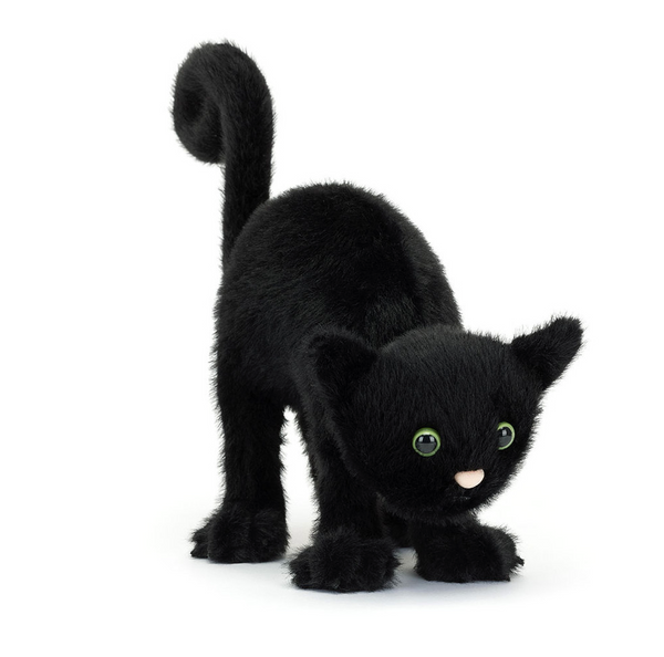 Spookipaws Cat