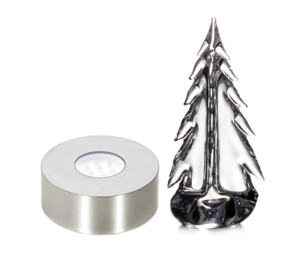 Evergreen Essentials Gift Set