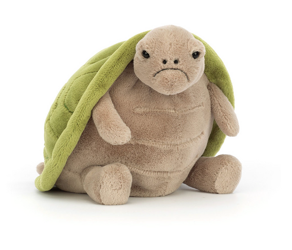 Timmy Turtle | Medium
