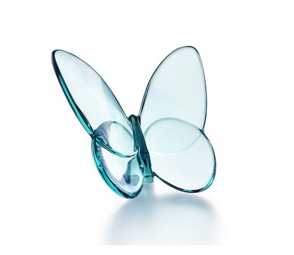 Butterfly | Turquiose Blue