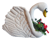 Swan A-Swimming