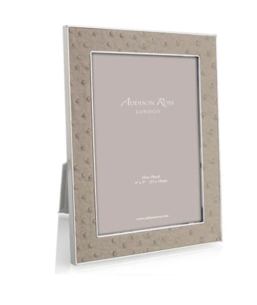 Ostrich Silver Frame 4 x 6