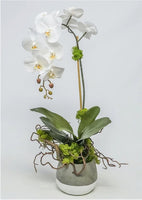 Orchid Ash Pot
