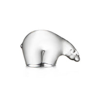 Polar Bear in Gift Box | Small