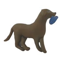 Chocolate Lab