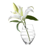 Amalia 6" Clear Vase