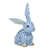 Funny Bunny